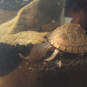 寒い寒いの画像