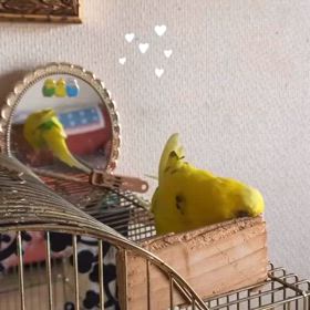 ちー太くん ♡⃛ おめでとうの画像