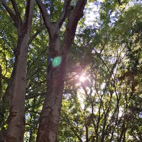 「いい加減」とは、母さまにとっての『よい加減』。のサムネイル画像