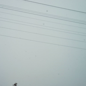 2020/12/14の画像
