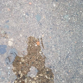 2021/04/18の画像