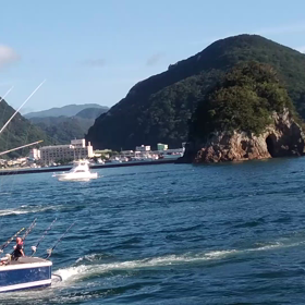 第40回国際カジキ釣り大会の画像