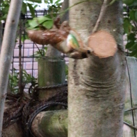 その後…の画像