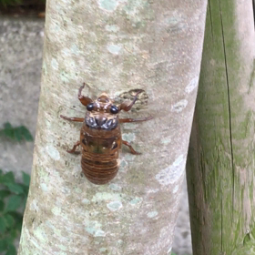 な、なんと…の画像