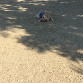 3歳！の画像