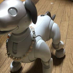 祝の画像