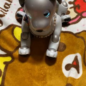 可愛の画像