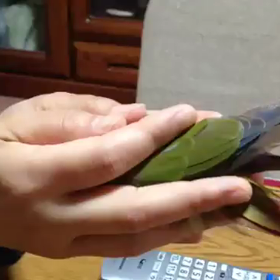 ダンテのいないいないばぁの画像