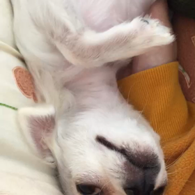 終わりました～～！の画像