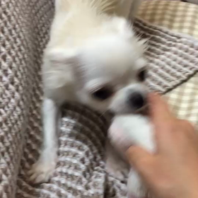 変な声＆スーパージャンプ。の画像