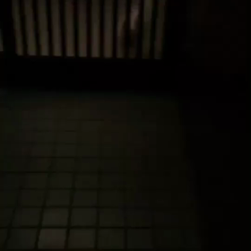 おはようございます！！の画像