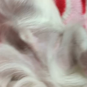 また急に･････の画像