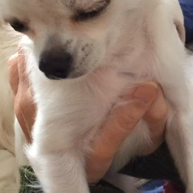 寝るな～！！！！の画像