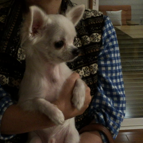 極秘です！の画像