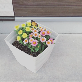 生徒さんの気持ちに寄り添っての画像