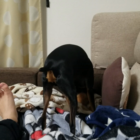 マジかっ‼の画像