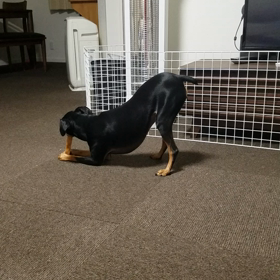 ブログの画像