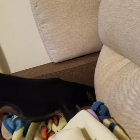 ２月２７日の画像