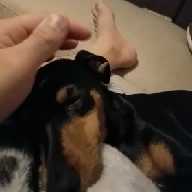 今日も暑いの画像