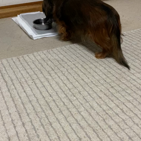 てんかん発作の画像
