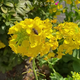 生きる力の画像