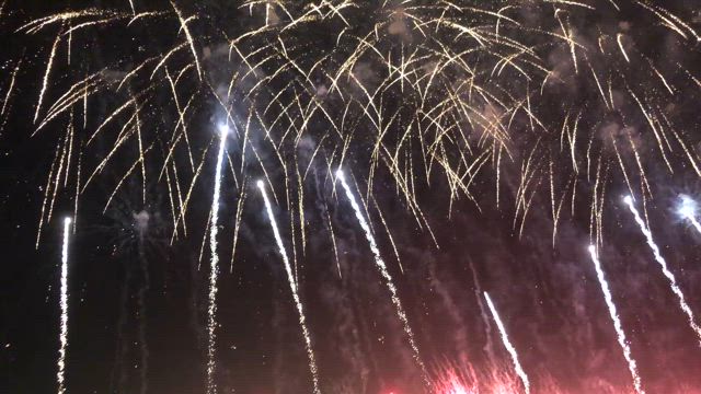 夏休みのあれこれ②の記事動画
