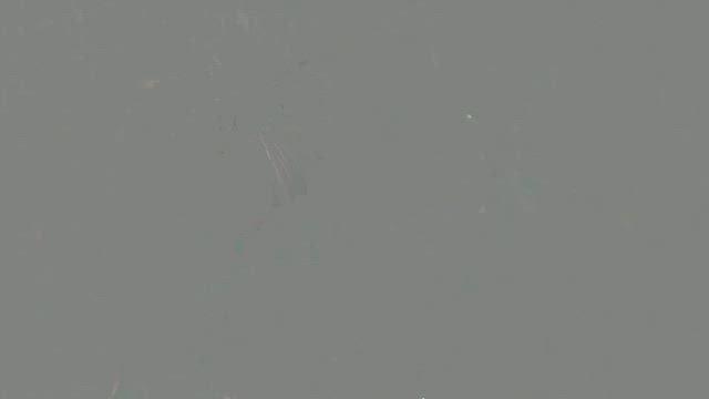 明日も宜しくお願いいたします〜大阪・関西万博2025〜の記事動画