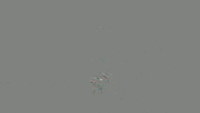 アメリカ国歌の記事動画
