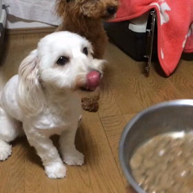 言葉を１つ覚えました❗️の画像