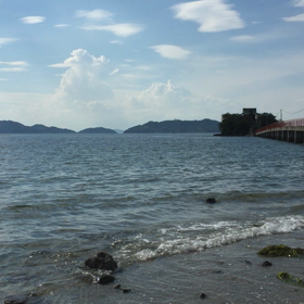 海の画像