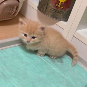 加工なし、１ヶ月の画像