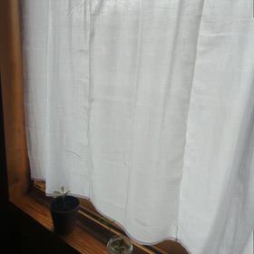さっきまでの画像
