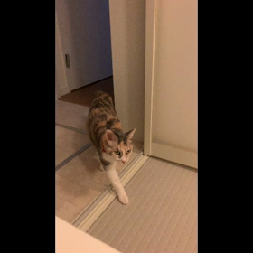 お風呂が気になる　tenの画像