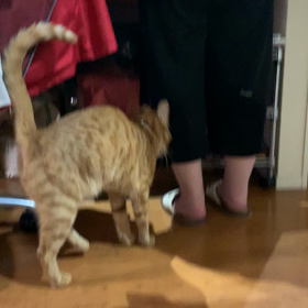 シュレッダー早く終わらせての画像