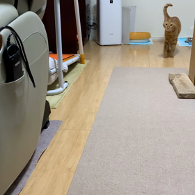 膝の上への画像