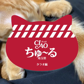 タラオ(尻尾ペロペロ)の画像