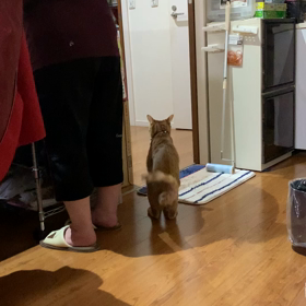 シュレッダー早く終わらせての画像