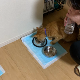 初めての氷の画像