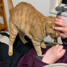 おやつの画像