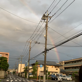 虹(三郷市議会委員選挙の画像