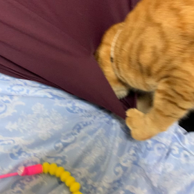 ポケットの画像