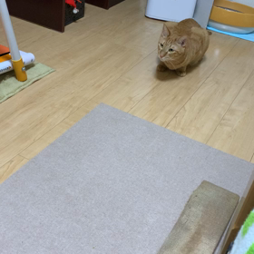 おやつの画像