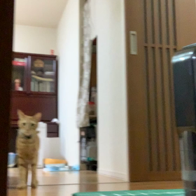 頭叩きの画像