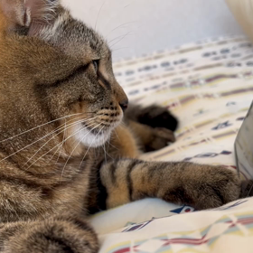 2022年10月26日(水)の画像