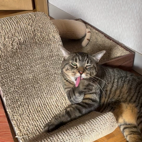 2023年9月4日(月)の画像