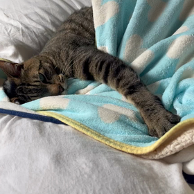 2023年3月12日(日)の画像