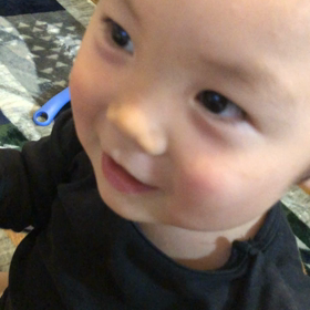 イカが来ます？？の画像