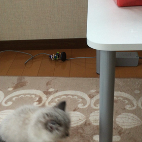 初めてのジャンプの画像