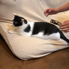 ここが好き！の画像