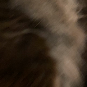 アズのいびきの画像